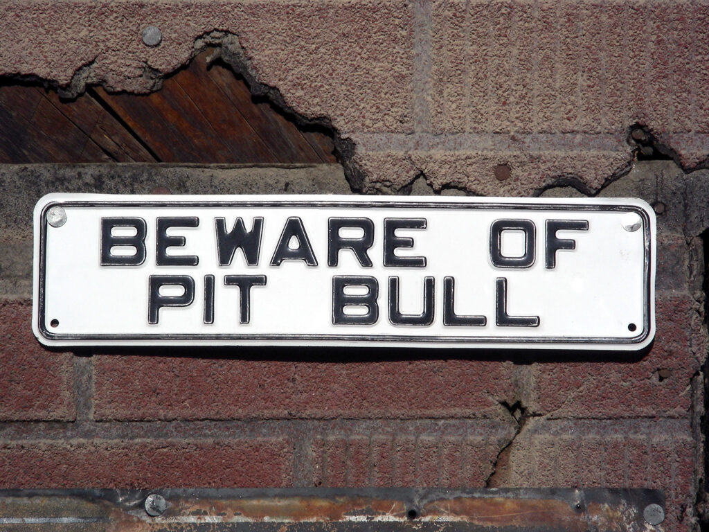 MAN CHARGED WITH ATTACKING DAUGHTER WITH PIT BULL