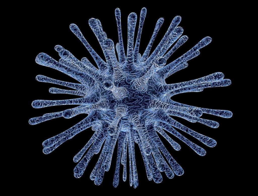 CORONAVIRUS VS. THE COURTS